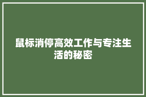 鼠标消停高效工作与专注生活的秘密  第1张