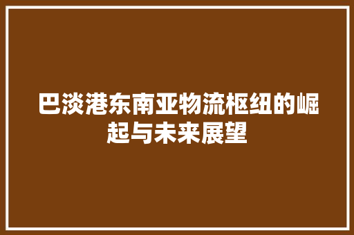 巴淡港东南亚物流枢纽的崛起与未来展望