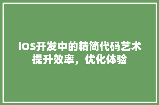 iOS开发中的精简代码艺术提升效率，优化体验