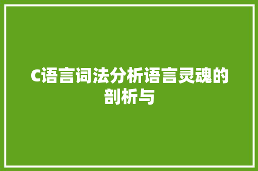 C语言词法分析语言灵魂的剖析与