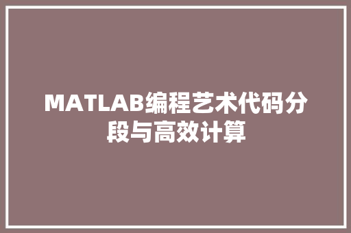 MATLAB编程艺术代码分段与高效计算