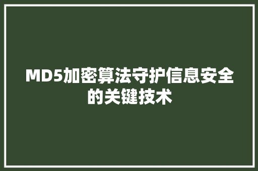 MD5加密算法守护信息安全的关键技术