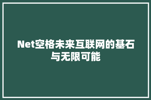 Net空格未来互联网的基石与无限可能