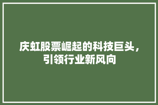 庆虹股票崛起的科技巨头，引领行业新风向