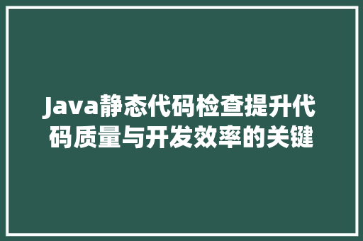 Java静态代码检查提升代码质量与开发效率的关键