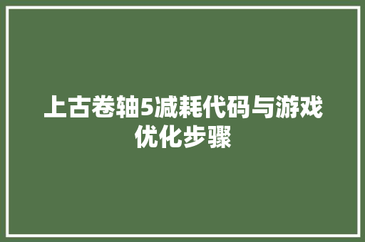 上古卷轴5减耗代码与游戏优化步骤