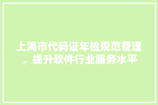 上海市代码证年检规范管理，提升软件行业服务水平