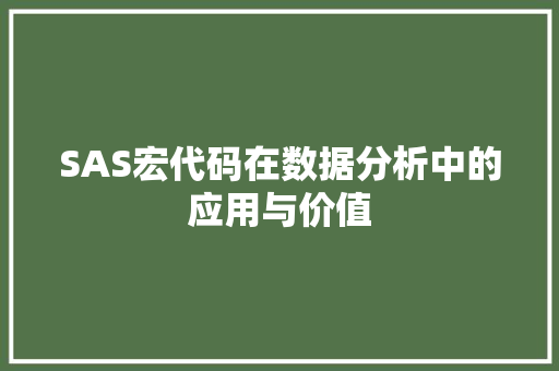 SAS宏代码在数据分析中的应用与价值