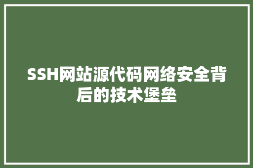 SSH网站源代码网络安全背后的技术堡垒