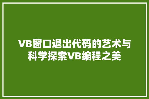 VB窗口退出代码的艺术与科学探索VB编程之美