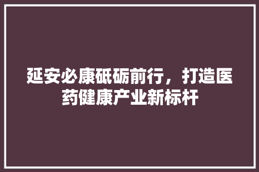 延安必康砥砺前行，打造医药健康产业新标杆