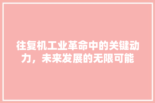 往复机工业革命中的关键动力，未来发展的无限可能