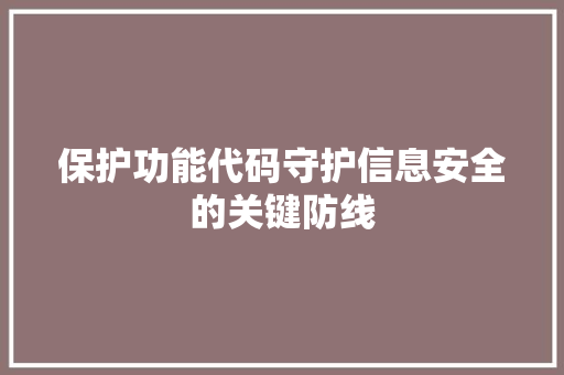 保护功能代码守护信息安全的关键防线