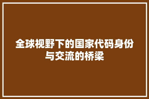 全球视野下的国家代码身份与交流的桥梁