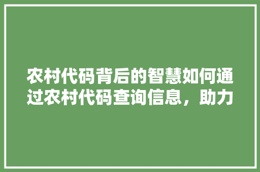 农村代码背后的智慧如何通过农村代码查询信息，助力乡村振兴