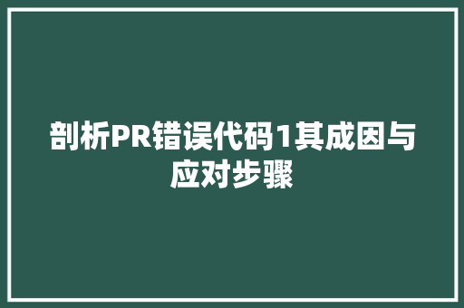 剖析PR错误代码1其成因与应对步骤