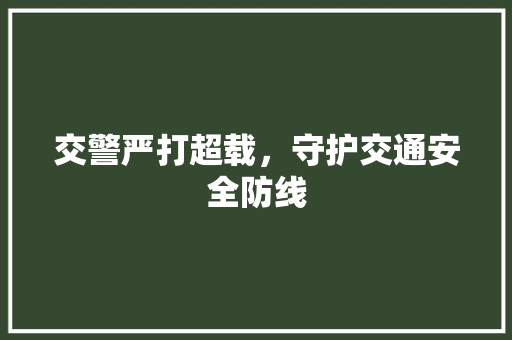 交警严打超载，守护交通安全防线