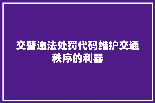 交警违法处罚代码维护交通秩序的利器