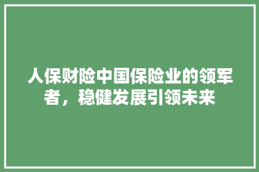 人保财险中国保险业的领军者，稳健发展引领未来