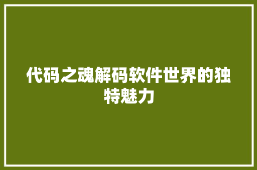代码之魂解码软件世界的独特魅力