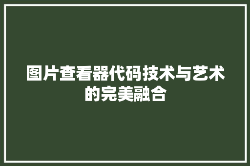 图片查看器代码技术与艺术的完美融合