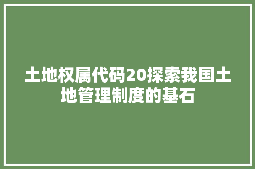 土地权属代码20探索我国土地管理制度的基石