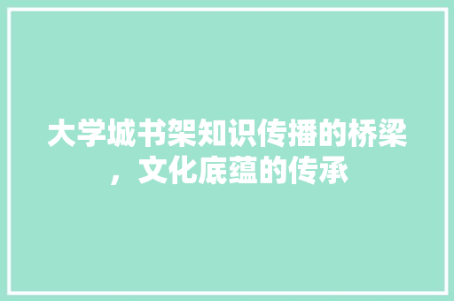 大学城书架知识传播的桥梁，文化底蕴的传承