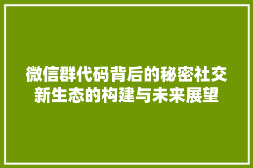 微信群代码背后的秘密社交新生态的构建与未来展望