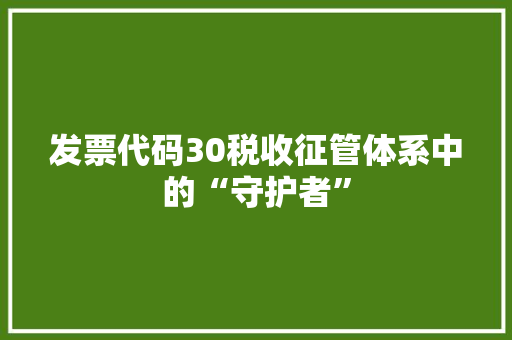 发票代码30税收征管体系中的“守护者”