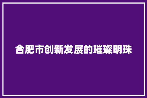 合肥市创新发展的璀璨明珠