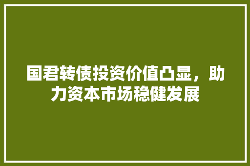 国君转债投资价值凸显，助力资本市场稳健发展