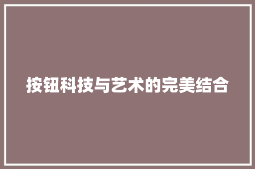 按钮科技与艺术的完美结合