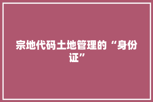 宗地代码土地管理的“身份证”