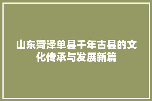 山东菏泽单县千年古县的文化传承与发展新篇