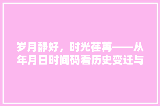 岁月静好，时光荏苒——从年月日时间码看历史变迁与人生感悟