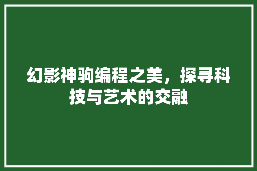 幻影神驹编程之美，探寻科技与艺术的交融
