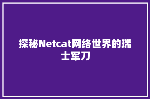 探秘Netcat网络世界的瑞士军刀