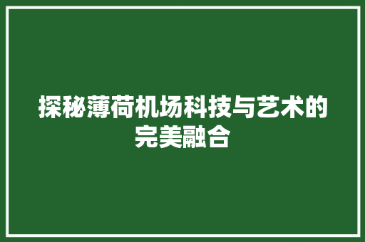 探秘薄荷机场科技与艺术的完美融合