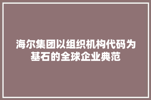 海尔集团以组织机构代码为基石的全球企业典范