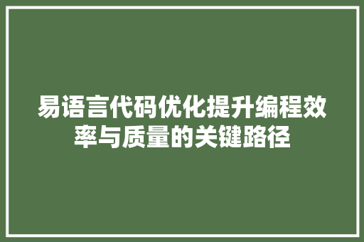 易语言代码优化提升编程效率与质量的关键路径