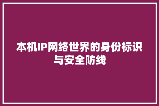 本机IP网络世界的身份标识与安全防线