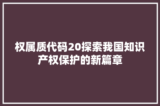 权属质代码20探索我国知识产权保护的新篇章