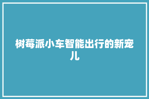 树莓派小车智能出行的新宠儿
