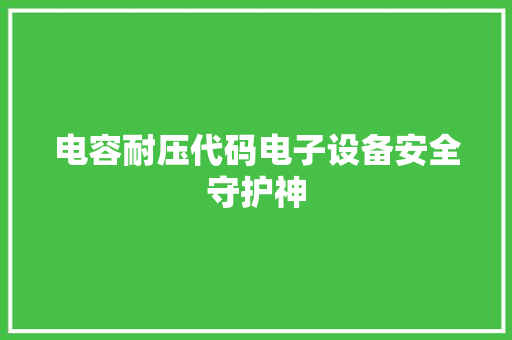 电容耐压代码电子设备安全守护神