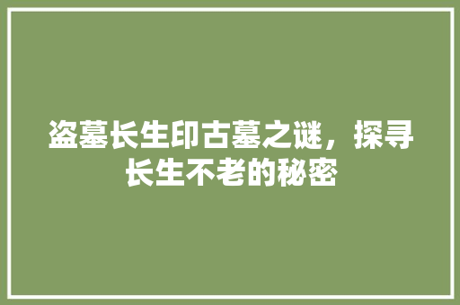 盗墓长生印古墓之谜，探寻长生不老的秘密