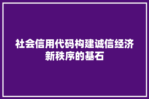 社会信用代码构建诚信经济新秩序的基石