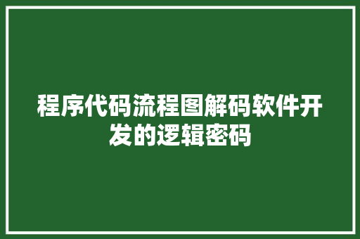 程序代码流程图解码软件开发的逻辑密码