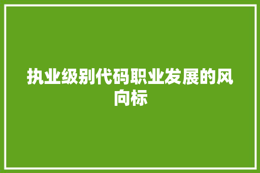 执业级别代码职业发展的风向标