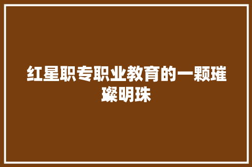 红星职专职业教育的一颗璀璨明珠