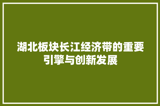 湖北板块长江经济带的重要引擎与创新发展